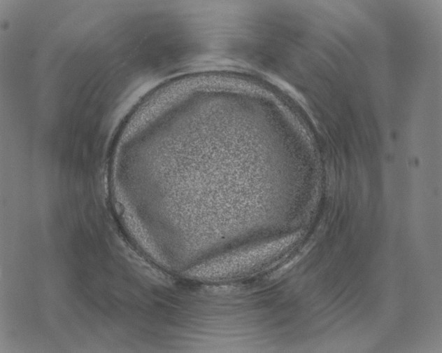 X0000071801415200607211635