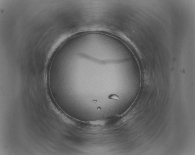 X0000071801416200607211635