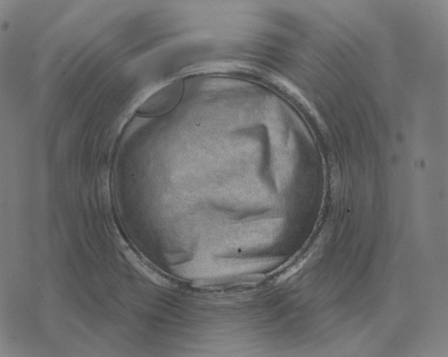 X0000071801417200607211635