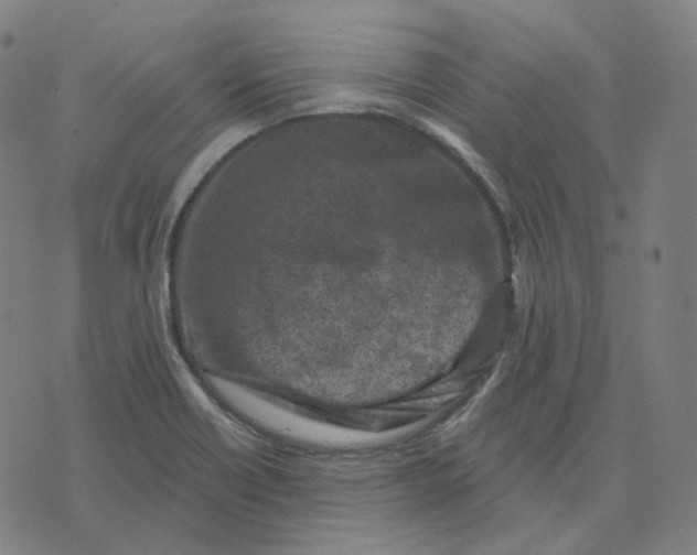 X0000071801418200607211635