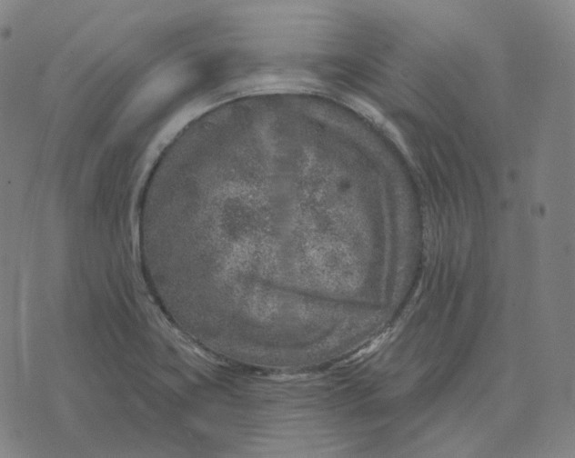 X0000071801419200607211636