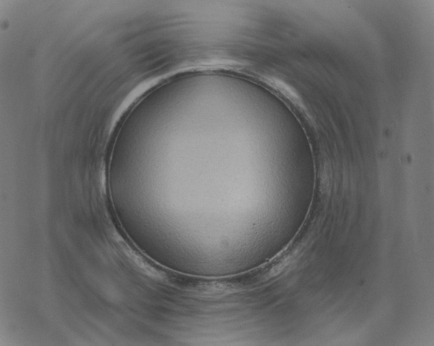 X0000071801420200607211636