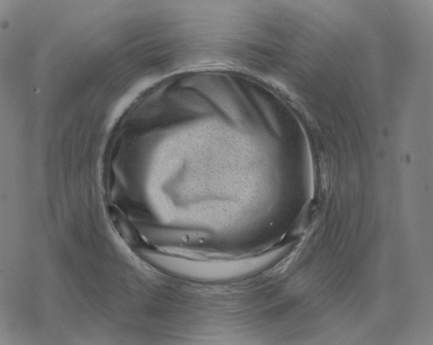 X0000071801422200607211636