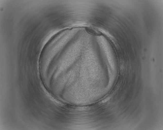 X0000071801423200607211636