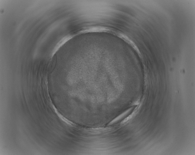 X0000071801425200607211636