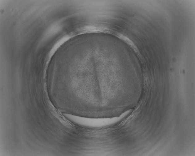 X0000071801427200607211636