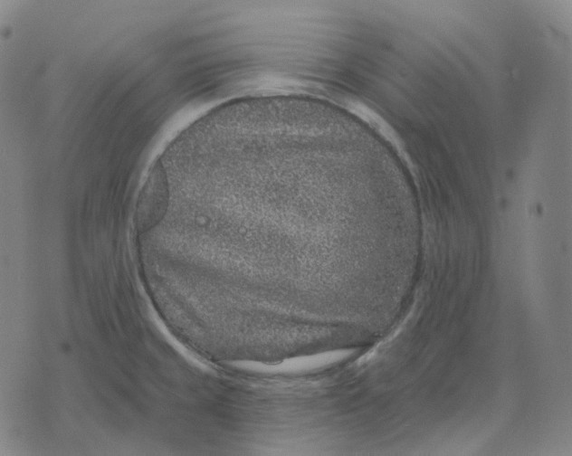 X0000071801429200607211636