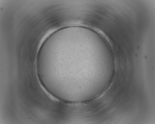 X0000071801432200607211636