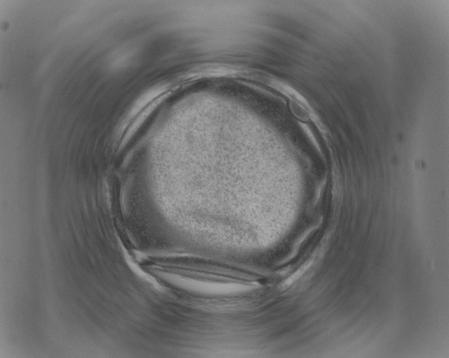 X0000071801433200607211636