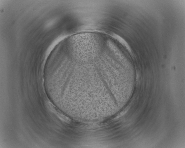 X0000071801435200607211636