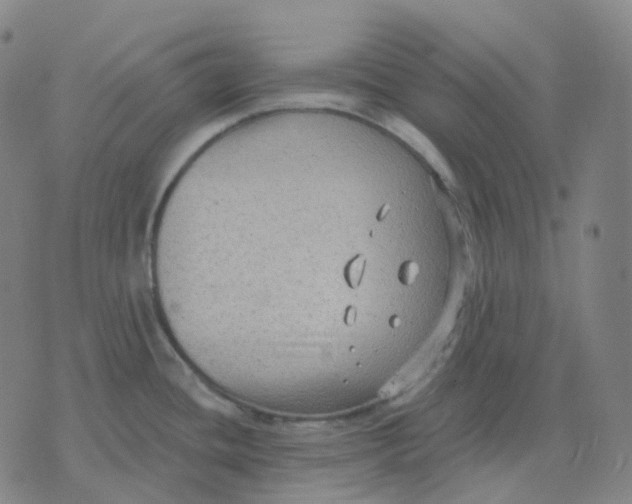 X0000071801436200607211636