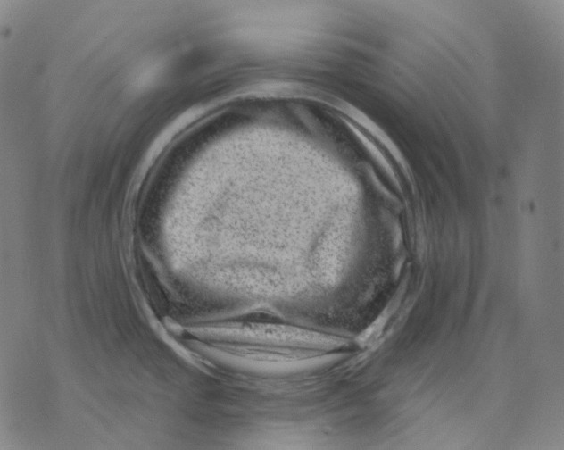 X0000071801437200607211636