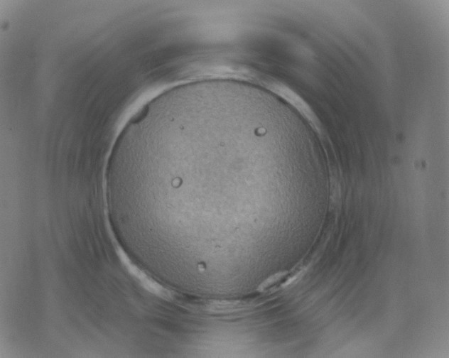 X0000071801439200607211636