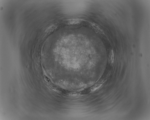 X0000071801441200607211635