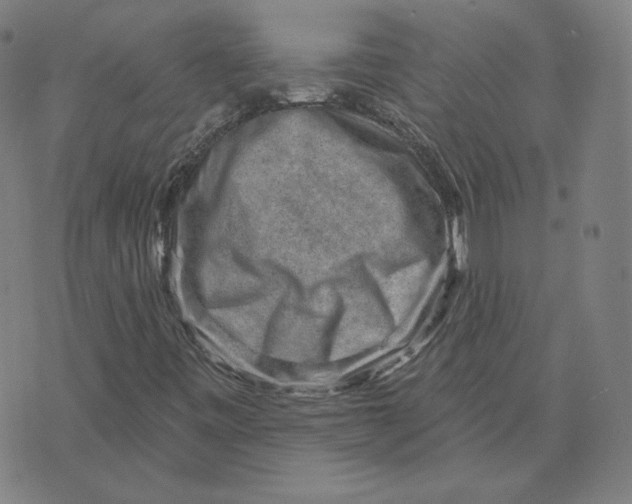 X0000071801443200607211635