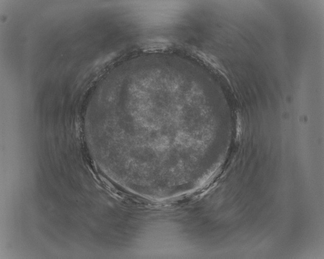 X0000071801445200607211635