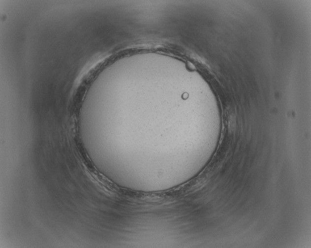 X0000071801448200607211635