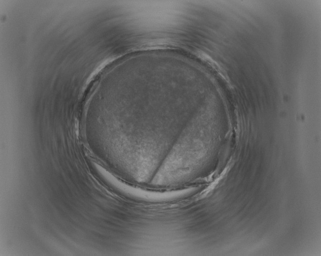 X0000071801449200607211635