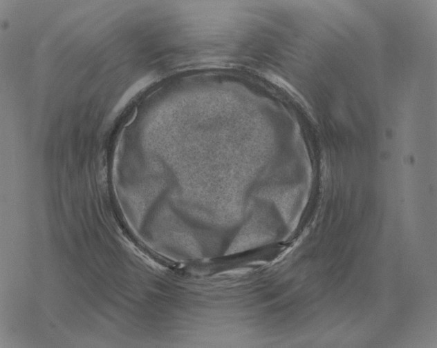 X0000071801450200607211635