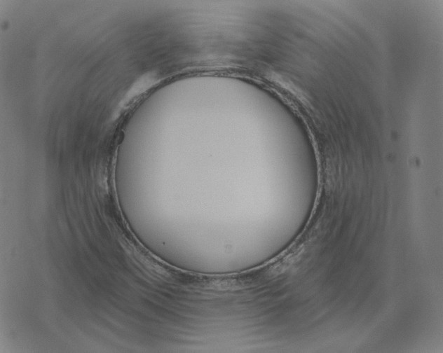 X0000071801451200607211635