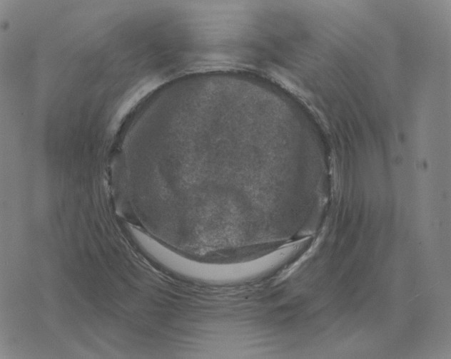 X0000071801453200607211635