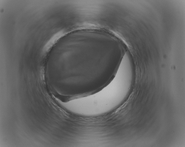 X0000071801455200607211635