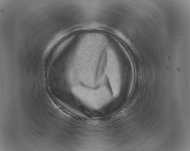 X0000071801456200607211635