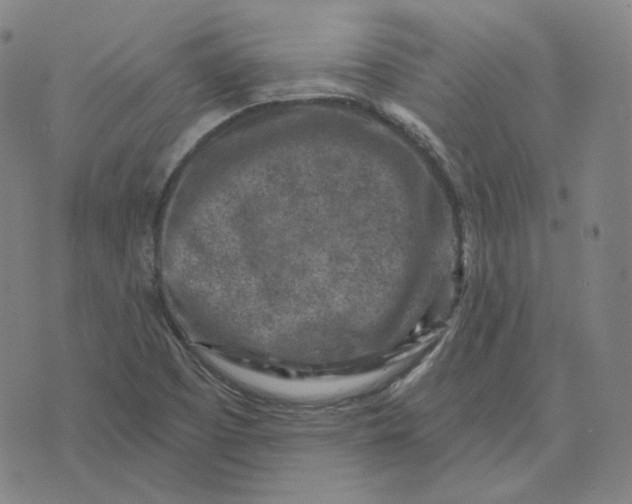 X0000071801457200607211635