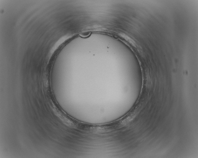 X0000071801458200607211635