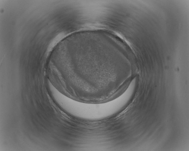 X0000071801459200607211635