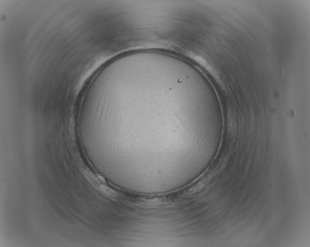 X0000071801460200607211635