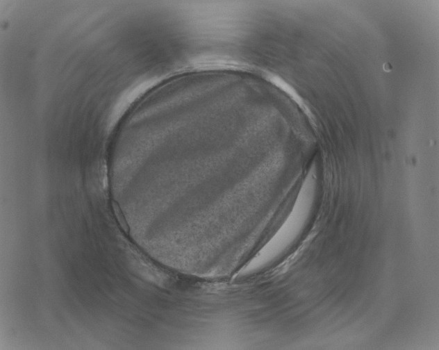 X0000071801461200607211635