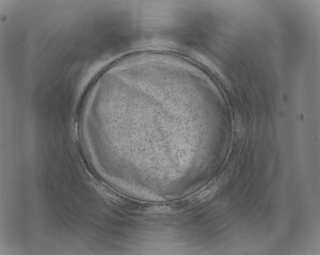 X0000071801462200607211635