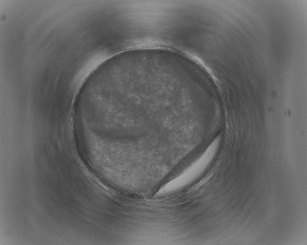 X0000071801463200607211635