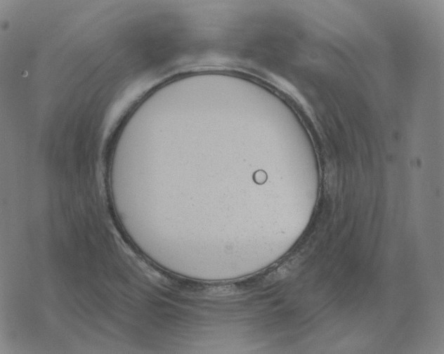 X0000071801464200607211635