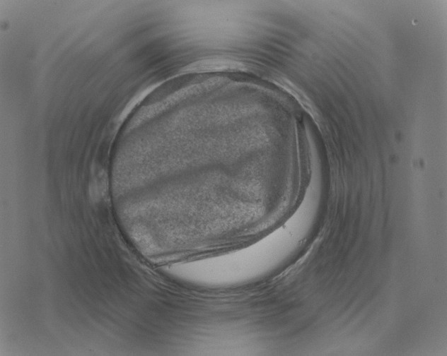 X0000071801465200607211635