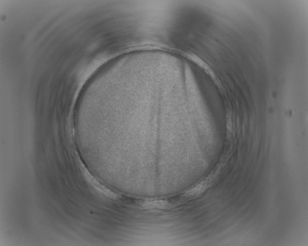 X0000071801466200607211635