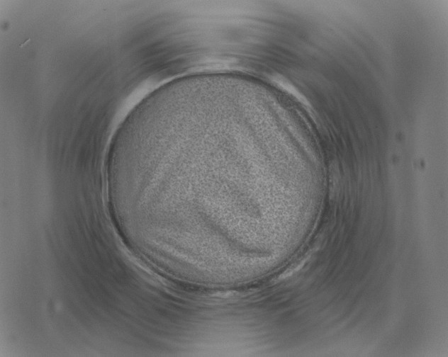 X0000071801467200607211635