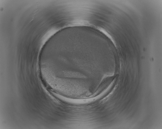 X0000071801469200607211635