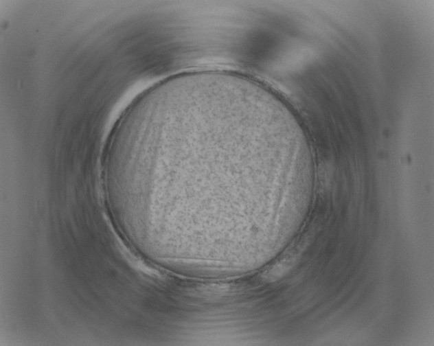 X0000071801470200607211635