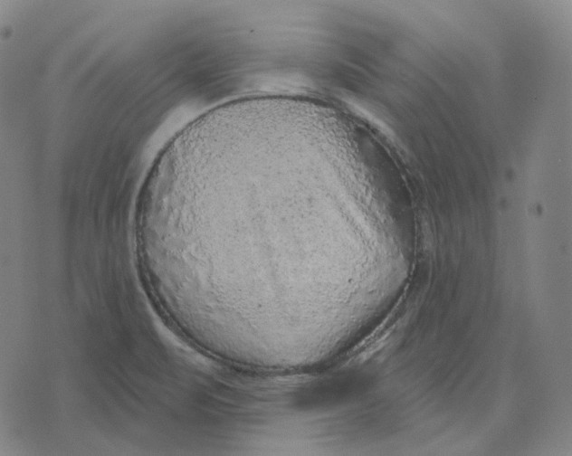 X0000071801471200607211635