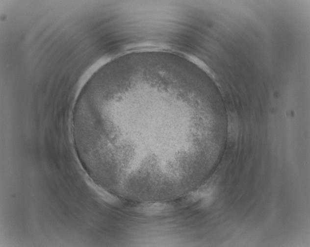 X0000071801474200607211635