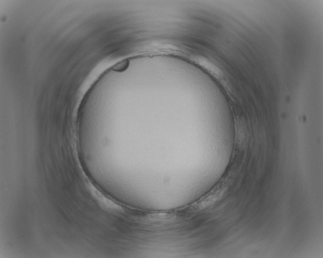 X0000071801478200607211634