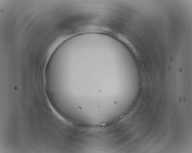 X0000071801479200607211634