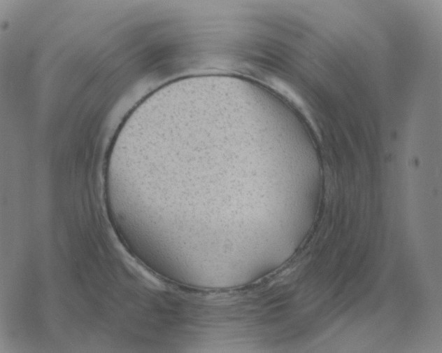 X0000071801480200607211634