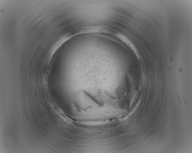 X0000071801481200607211634