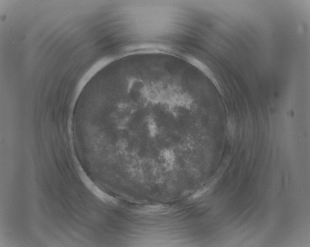 X0000071801482200607211634