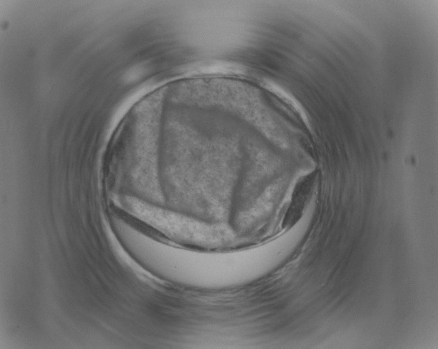 X0000071801483200607211634