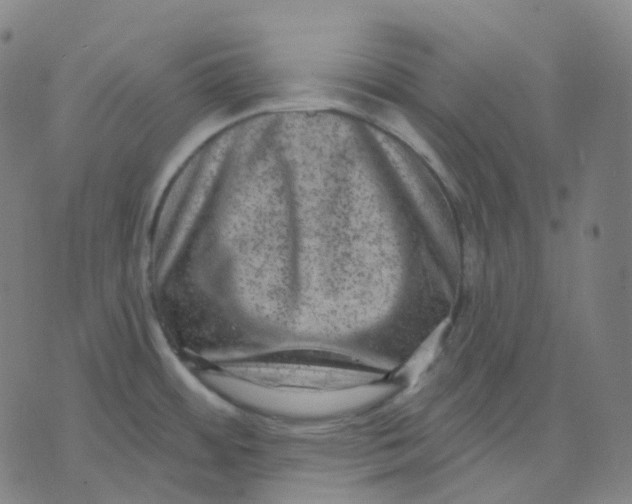 X0000071801484200607211634