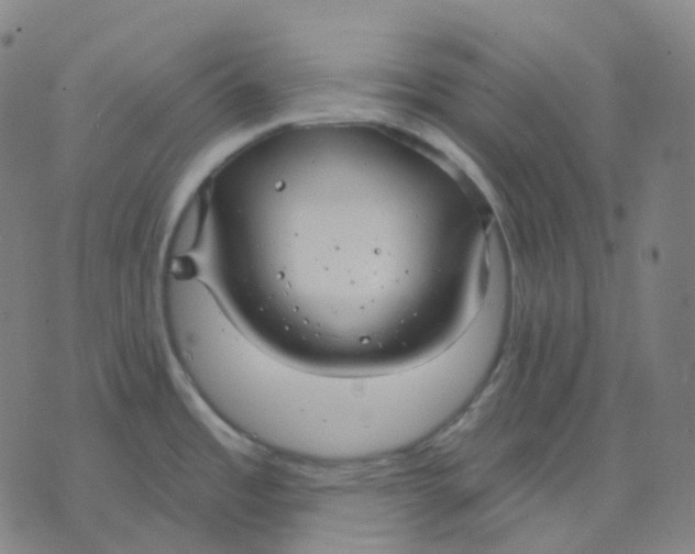 X0000071801485200607211634